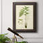 «Curtis Ferns I», reproduction sur toile encadrée-73987483