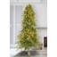 Douglas Lighted Artificial Fir Christmas Tree-1798263689