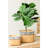 Of 2 Cement Geometric Trim Rectangular Basket Planters, Brown Multi For Indoors Or Outdoors Decor, L:10.4X8.7X7.9 S:7.3X5.5X5.9 Inches, 12.1 Lbs Planters With Indoor Outdoor