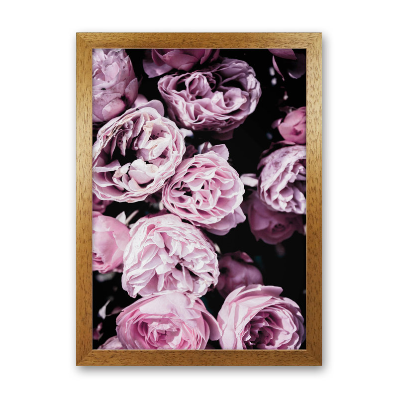Pink Flowers II by Victoria Frost - Print, Oak Framed, 46cm H x 34cm W x 3cm D