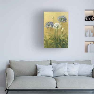 Bolog Danhui Nai Agapanthus II Canvas Art