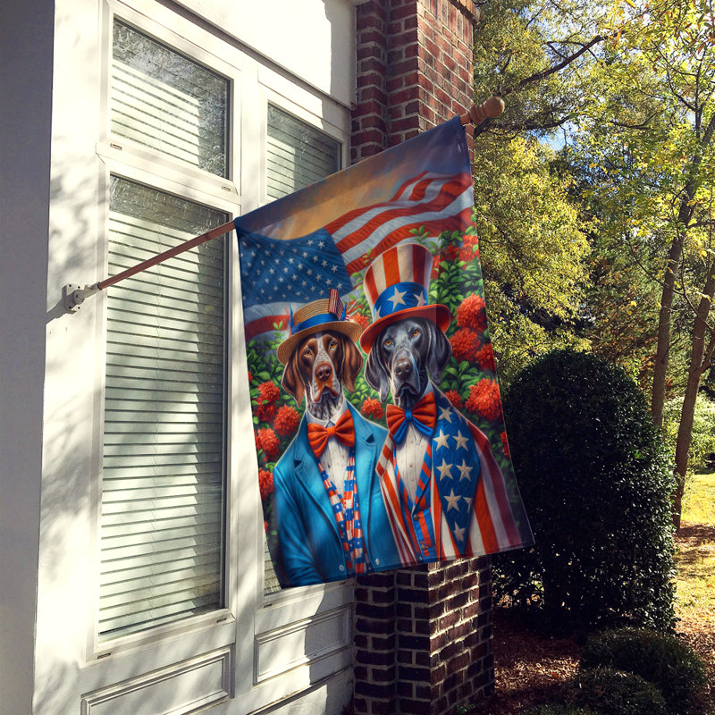 Drapeau «All American House», Pointeur