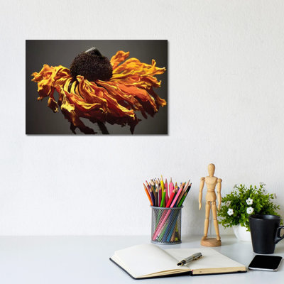 Studio Flowers VIII by James McLoughlin - Wrapped Canvas Print