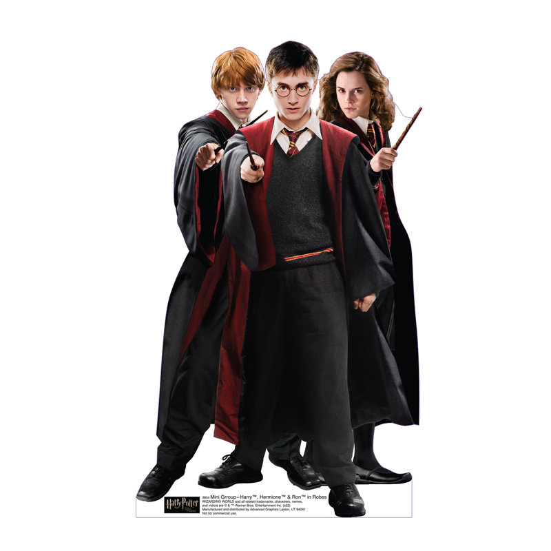 Mini-groupe - Harry, Hermione et Ron dans des robes en carton