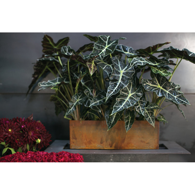 Montello Pot Planter, 4" H x 24" W x 4" D