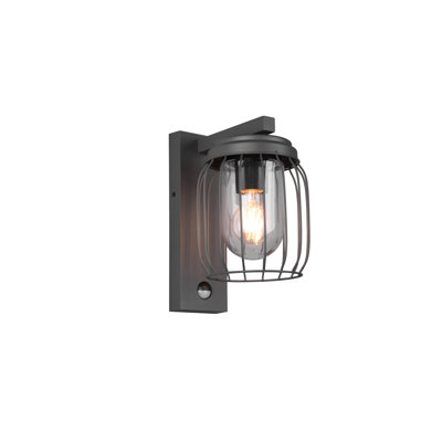 Downridge Outdoor Wall Lantern