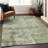  Machine Washable Indoor/Outdoor Chayden ACN1062 Rug-81367267