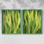«Blades of Grass I», reproduction encadrée de qualité supérieure - prête à être accrochée - aucun clou requis - aucun clou requis-922319297-922319300