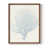 Noyer