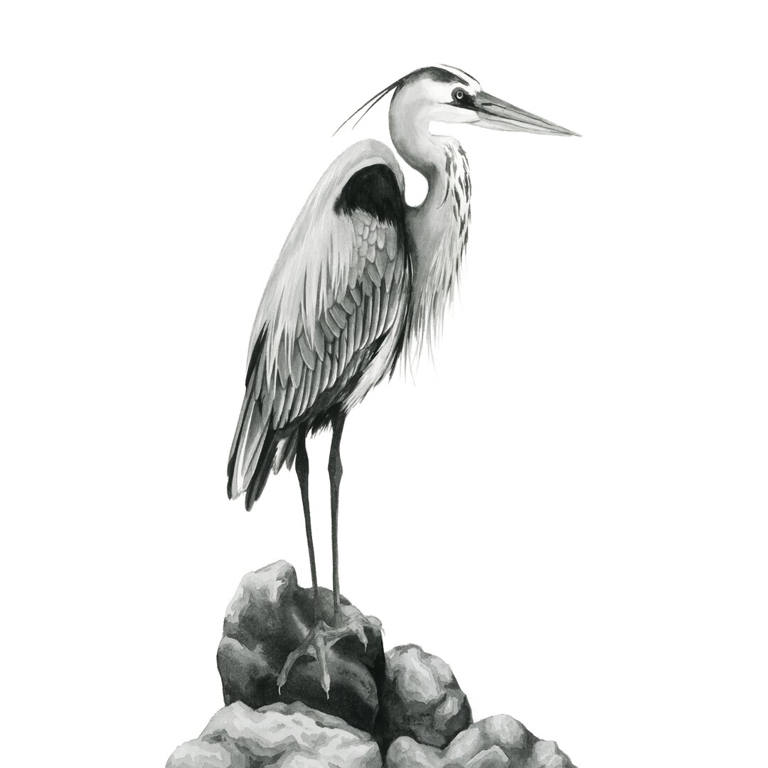 Leinwandbild Shoreline Heron In B&W I