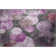 Premium Machine Washable Cerrito AMF556 Garnet Rug