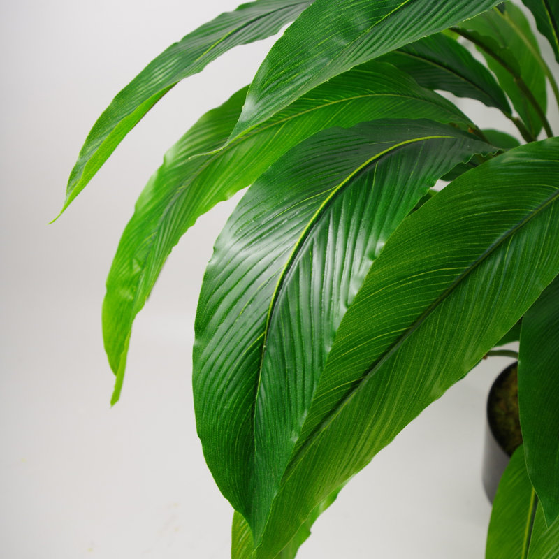 Anjeli 60cm Faux Foliage Plant in Pot