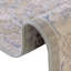 Denena Oriental Indoor Rug-473449307