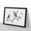 Tail Tit Birds by Johan Teyler - Picture Frame Graphic Art Print-55729694-55729691