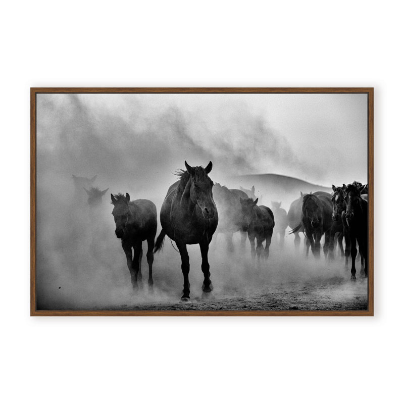 Nature Inspired Untitled by  - Picture Frame Photograph on Paper, Framed Canvas, 16" H x 24" W x 2.375" D, White