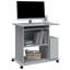 Bisceglia Computer Desk-433184005