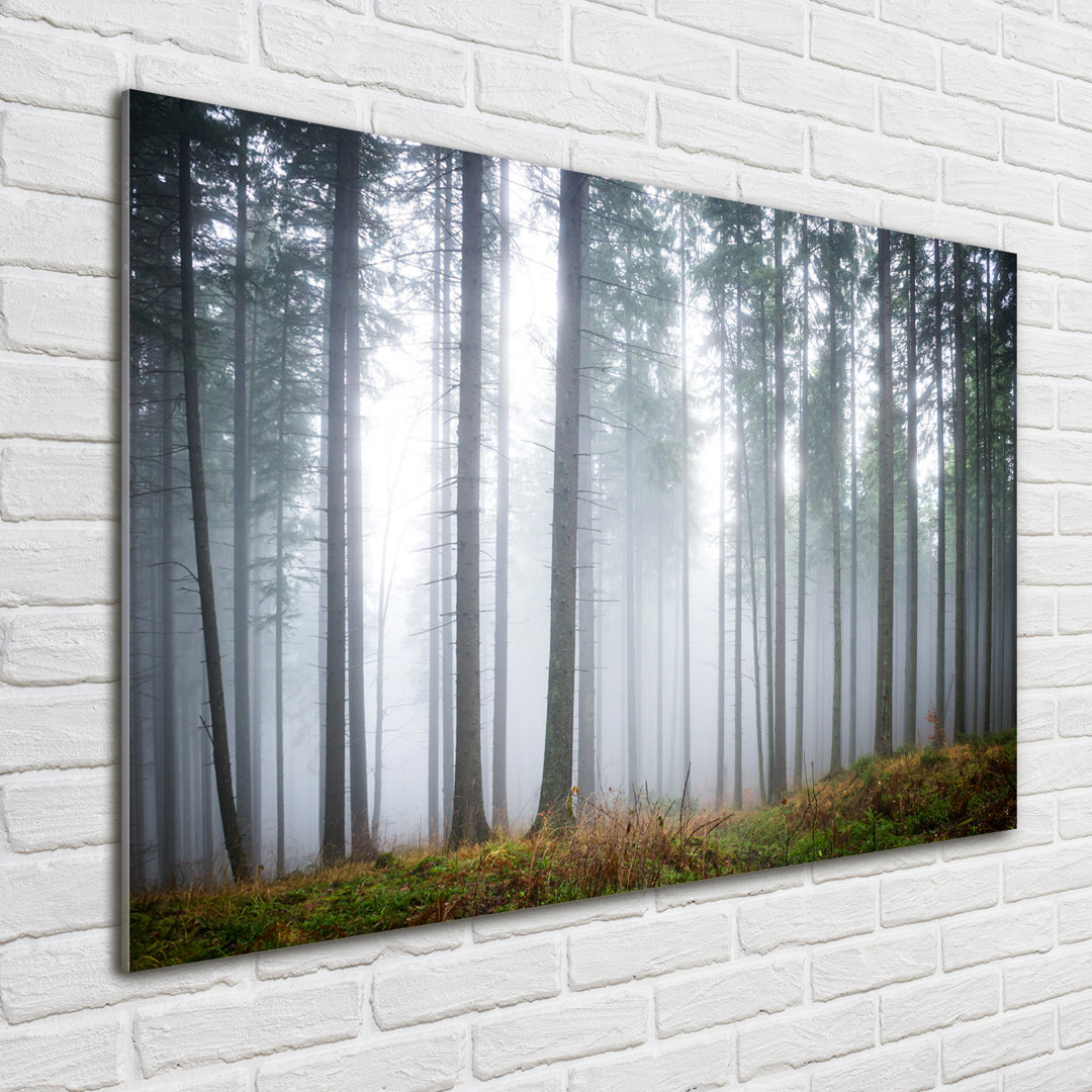 Glasbild Nebel im Wald