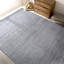 Area Rug in Gray/Ivory-314604975
