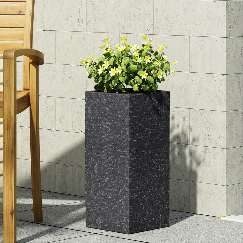 MGO PLANT