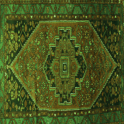Performance Oriental Indoor Rug
