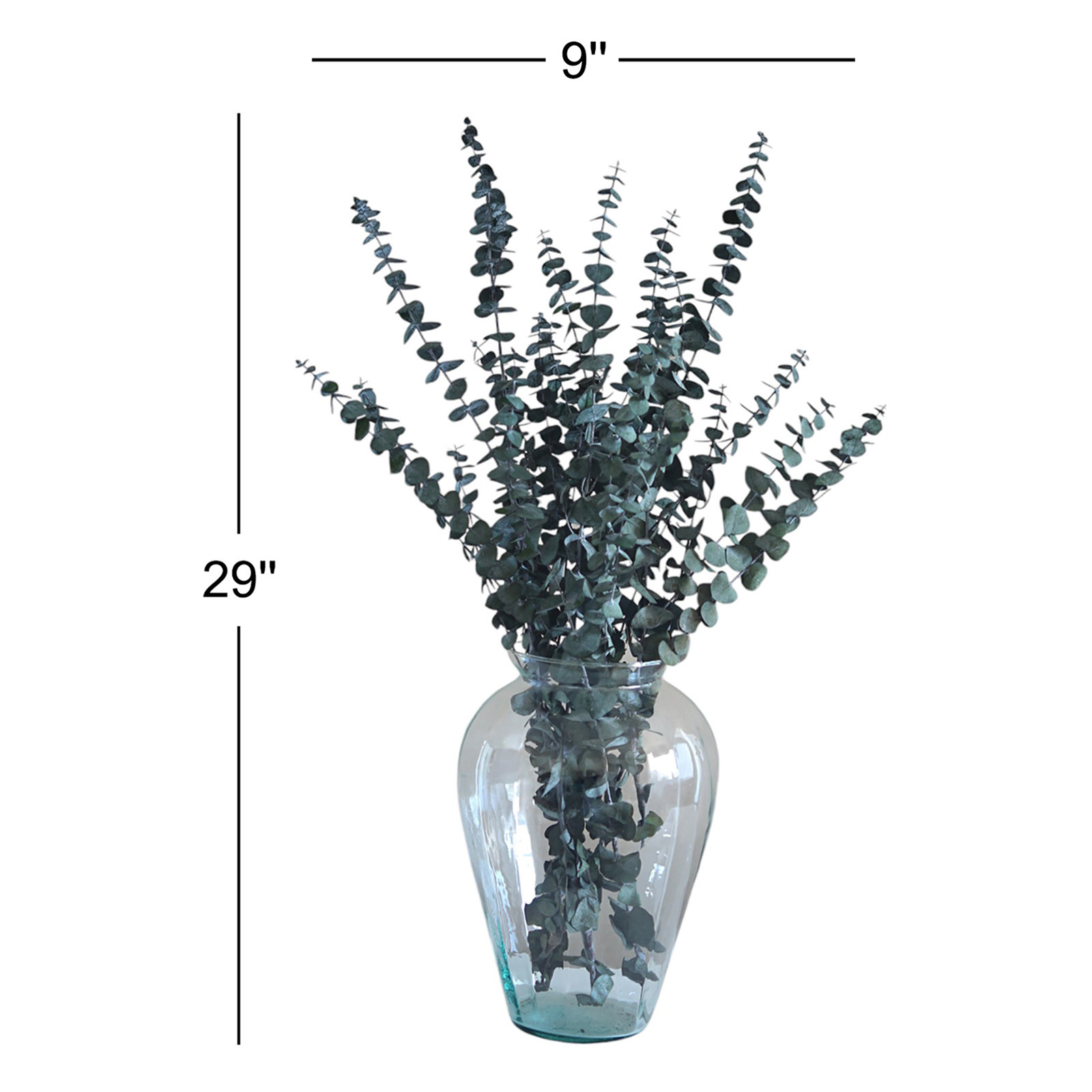 Preserved Eucalyptus Stems, Green