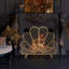 Des 1 Iron Fireplace Screens