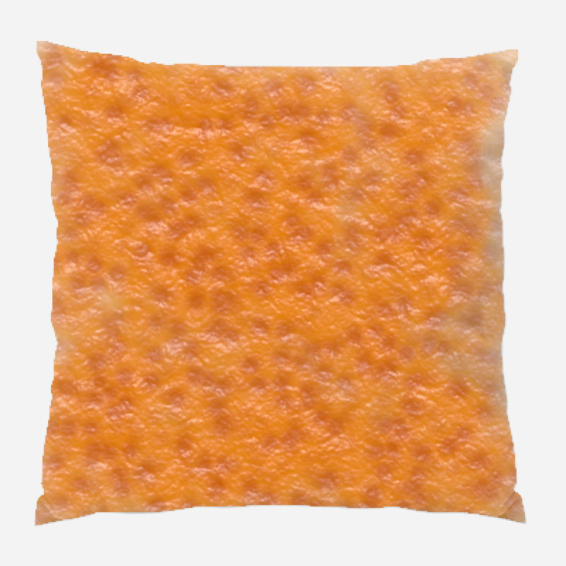 Coussin décoratif transparent, Intérieur