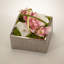 Orchids Floral Arrangement in Planter