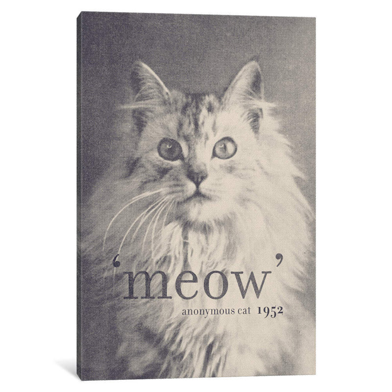 Famous Quotes (Cat) by Florent Bodart - No Frame Print on Canvas, 101.6 cm H x 66.04 cm W x 3.175 cm D