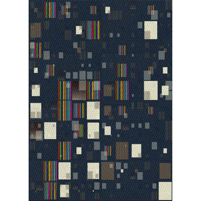 Indoor Rug