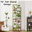 72 po de hauteur pour plante d'intérieur
