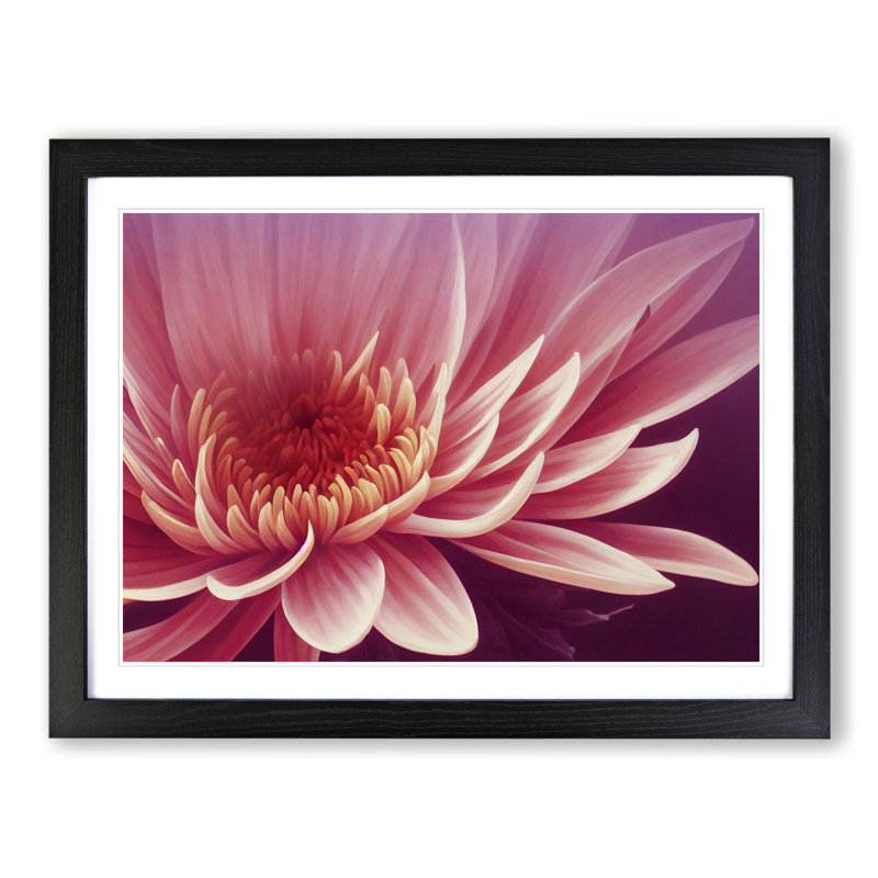 Artsy Chrysanthemum Flower - Single Picture Frame Print, 46cm H x 64cm W, Black