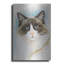 «Ragdoll 2» par Barbara Keith-1321041735