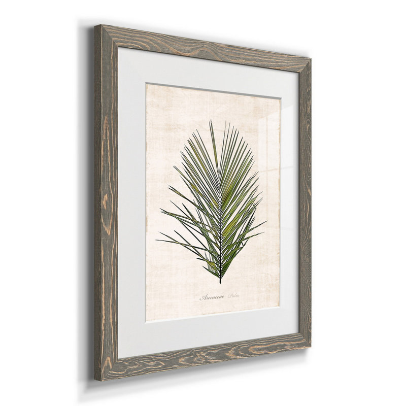 Palm Botanical I - Reproduction d'art graphique sur papier encadré, H 24 po x l 18 po x P 1,5 po, gris