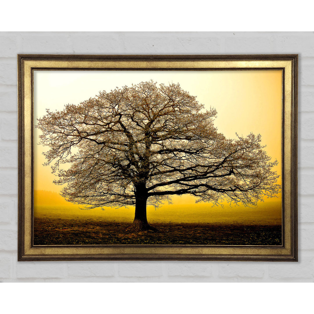 Beautiful Dusk Tree - Einzelner Bilderrahmen Kunstdrucke