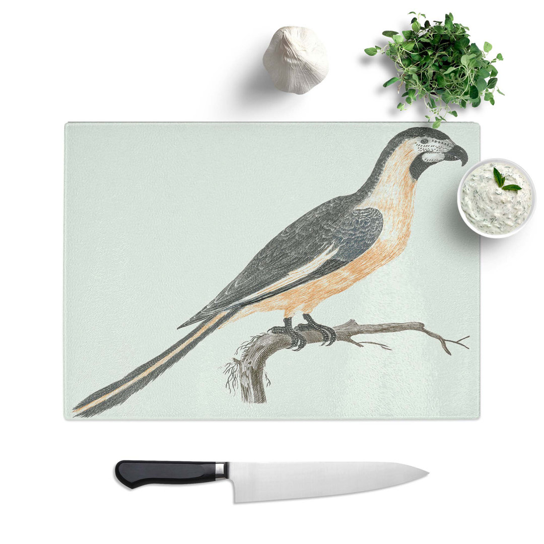 Tempered Glass Parrot by Johan Teyler Chopping Board