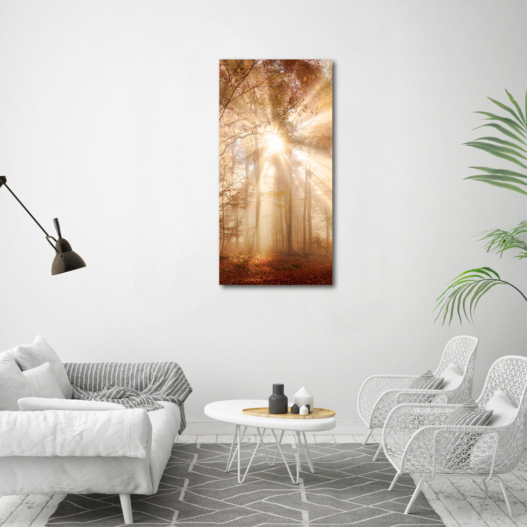 Herbstwald - Kunstdrucke auf Leinwand - Wrapped Canvas