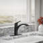 Rival Single-Handle Kitchen Sink Faucet-146836882