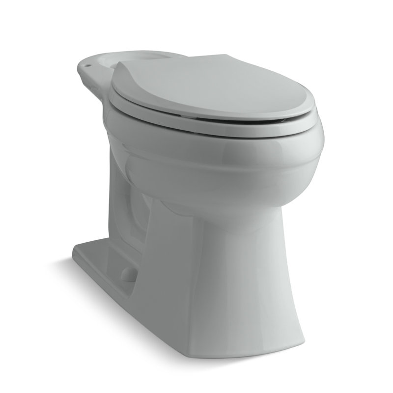 Kelston 1.28 GPF (Water Efficient) Elongated Toilet Bowl (Seat Not Included), Ice Gray