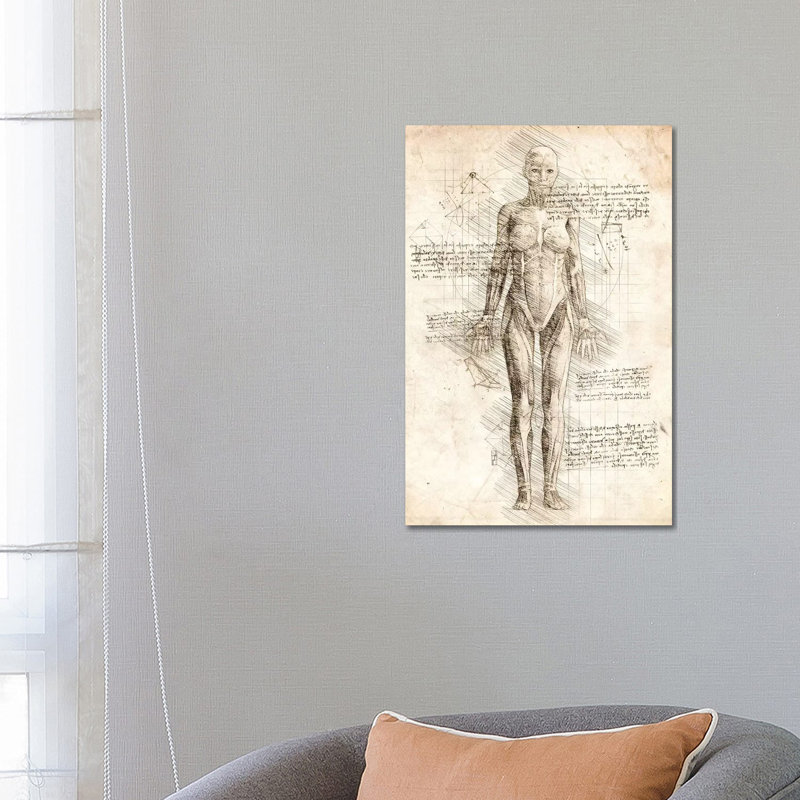 Human Female Muscles Anatomy 1 Piece Wrapped Canvas Wall Art, 66.04 cm H x 45.72 cm W x 1.91 cm D