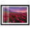 Décoration murale coucher de soleil à motif d'ombre à la mer Sea of Roses II par Notoriart, cadre noir, 25 x 17