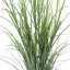 Herbe dans un pot à fleurs-1885000281