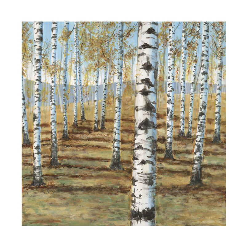 «Birch Hillside I» sur toile, H 14 po x l 14 po