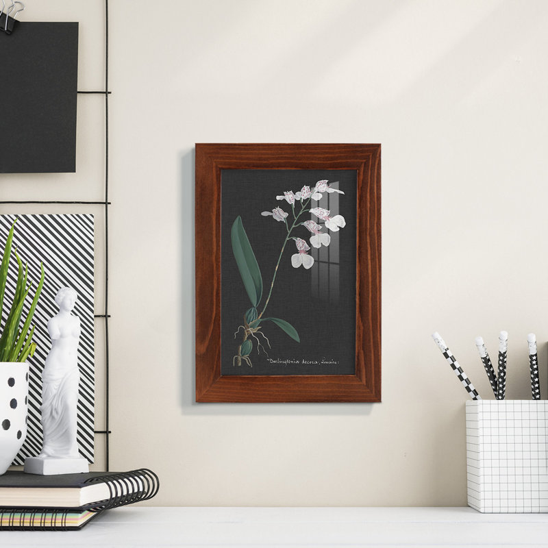 Orchid On Slate VI " Orchid On Slate VI ", 7" H x 5" W x 1" D, Chestnut