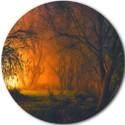 " Magical Light In Forest "