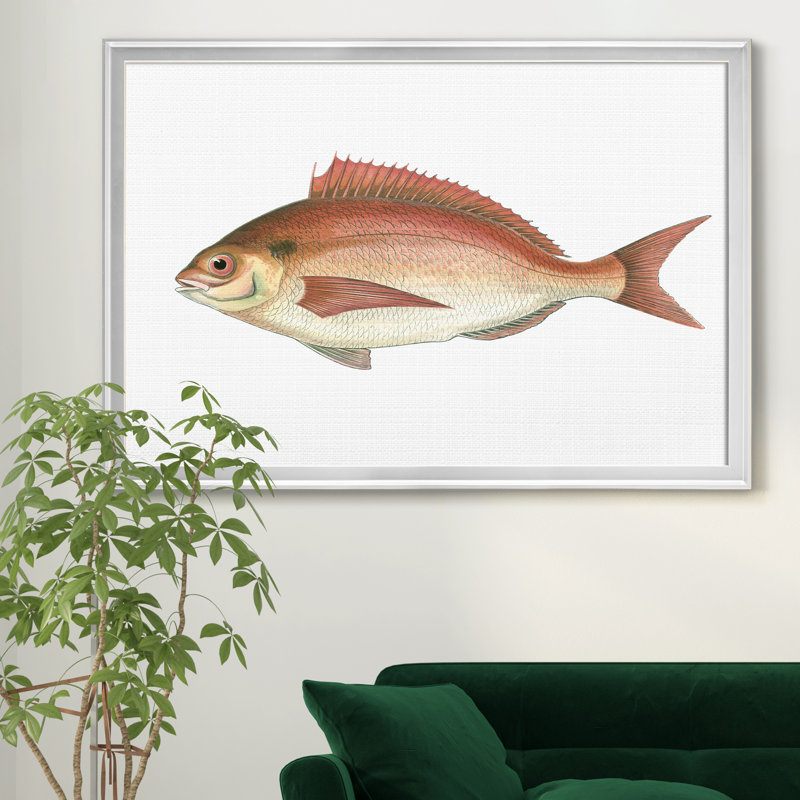 «Small Small Antique Fish III», reproduction d'art graphique sur toile encadrée, H 22,5 po x l 30,5 po x P 1,5 po, Argent