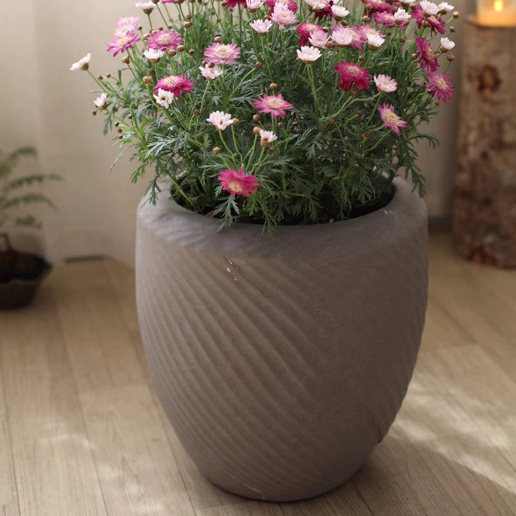 Comtemporary Swirl Planter, Camel