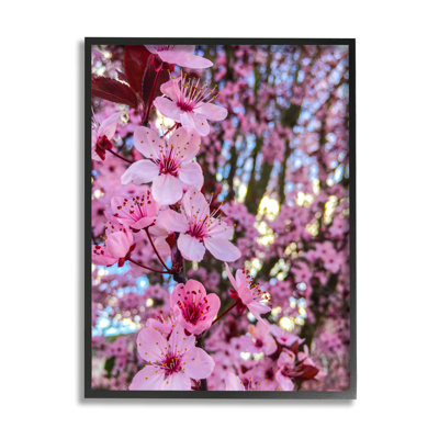 " Spring Cherry Blossom Tree Nature " by Heidi Bannon
