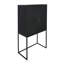 Armoire 31,5 x 16,5 x 60 po, noir