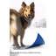 Tapis pour chien (ensemble de 20)